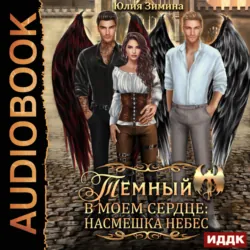 Формула тьмы и молнии, аудиокнига . ISDN73943247