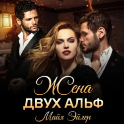 Мои волки, аудиокнига . ISDN71939941