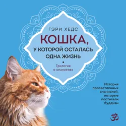 Кошка, у которой осталась одна жизнь - Гэри Хедс