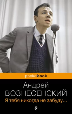 Я тебя никогда не забуду… - Андрей Вознесенский