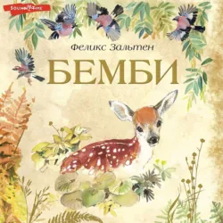 Бемби, Феликс Зальтен