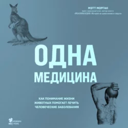 Реанимация. Истории на грани жизни и смерти, аудиокнига Мэтт Морган. ISDN49790722