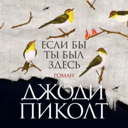 Если бы ты был здесь - Джоди Пиколт