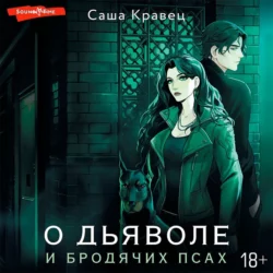 О дьяволе и бродячих псах, Саша Кравец