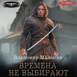 Времена не выбирают, Владимир Малыгин