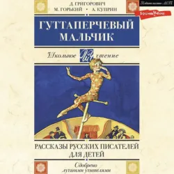 Гуттаперчевый мальчик. Рассказы русских писателей для детей (сборник) - Дмитрий Григорович