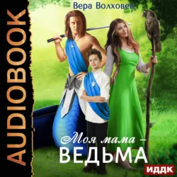 Дом ведьмы. Книга 1. Большая уборка, аудиокнига . ISDN67966770