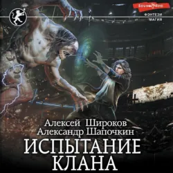 Испытание клана - Александр Шапочкин
