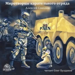 Миротворцы карательного отряда - Алексей Соколов