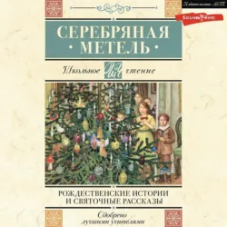 Серебряная метель. Рождественские истории и святочные рассказы, Антон Чехов