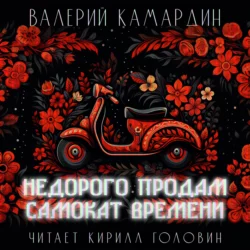Недорого продам самокат времени - Валерий Камардин