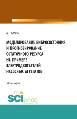Моделирование вибросостояния и прогнозирование остаточного ресурса на примере электродвигателей насосных агрегатов. (Аспирантура, Бакалавриат, Магистратура). Монография., Алексей Белкин