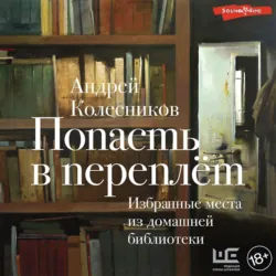 Попасть в переплёт. Избранные места из домашней библиотеки - Андрей Колесников