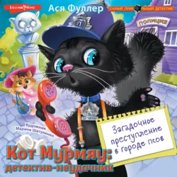 Кот и кореец, аудиокнига . ISDN71374000