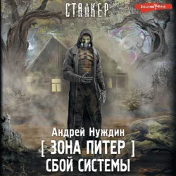 Зона Питер. Сбой системы - Андрей Нуждин