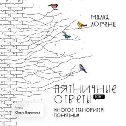 Пятничные ответы. Многое становится понятным. Том 4, аудиокнига Малки Лоренц. ISDN70006780