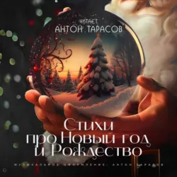 Стихи про Новый год и Рождество - Валерий Брюсов