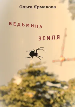 Вихрь переправ: 1. Когда в окно постучится ворон, аудиокнига . ISDN71469838