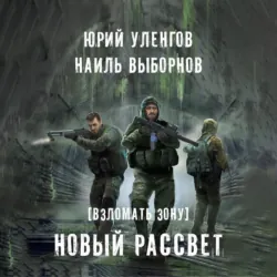 Взломать Зону. Новый рассвет - Наиль Выборнов