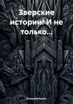 Через рифы и сквозь мифы – 2: на развилках и в тупиках российской не-политики. Сокращенная версия, аудиокнига Владимира Кашина. ISDN67215611