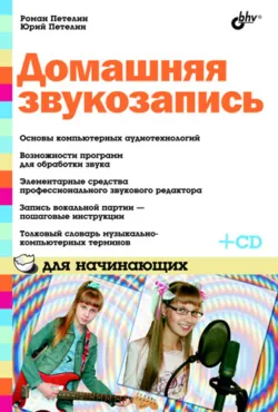 Домашняя звукозапись для начинающих - Юрий Петелин