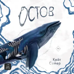 Остов - Кейт Сойер