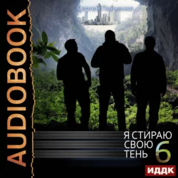 Я стираю свою тень. Книга 6 - Сергей Панченко