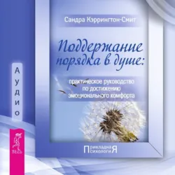 Поддержание порядка в душе: практическое руководство по достижению эмоционального комфорта - Сандра Кэррингтон-Смит
