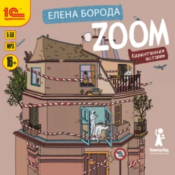 Zoom. Карантинная история - Елена Борода Zoom. Карантинная история - Елена Борода