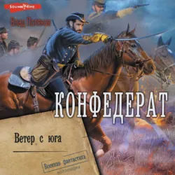 Конфедерат. Ветер с юга - Влад Поляков