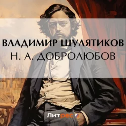 Н. А. Добролюбов, Владимир Шулятиков