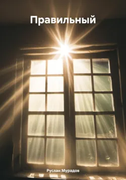 Сборник коротких, как жизнь, и жизненных рассказов, аудиокнига Руслана Мурадова. ISDN69974767