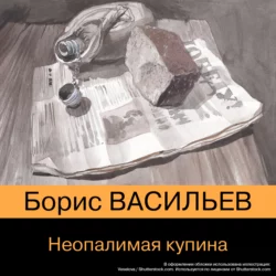 Неопалимая купина, Борис Васильев