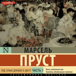 Под сенью девушек в цвету. Часть первая - Марсель Пруст
