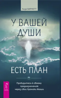 Шаманизм. Личные поиски единения с природой и творением + Акаша: духовный опыт доступа к бесконечному разуму наших душ, аудиокнига . ISDN70759744