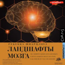 Ландшафты мозга. Об удивительных искаженных картах нашего мозга и о том, как они ведут нас по жизни - Ребекка Шварцлоуз