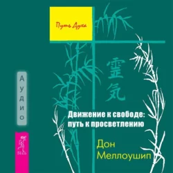 Движение к свободе: путь к просветлению - Дон Меллоушип