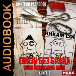 Связь без брака. Книга 3. Время разбрасывать камни - Дмитрий Распопов