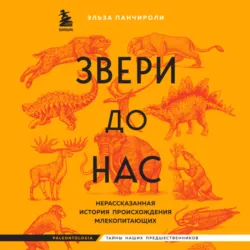 Звери до нас. Нерассказанная история происхождения млекопитающих - Эльза Панчироли