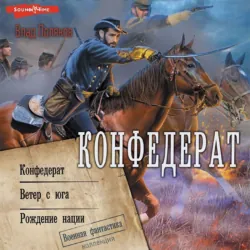 Конфедерат. Ветер с юга. Рождение нации - Влад Поляков
