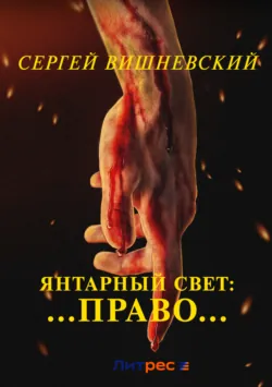 Янтарный свет: …Право… - Сергей Вишневский
