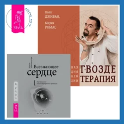 Всезнающее сердце. Пробуждение вашего внутреннего провидца + Гвоздетерапия. Пошаговая инструкция для внутренней трансформации - Барбара Майклджон-Фри