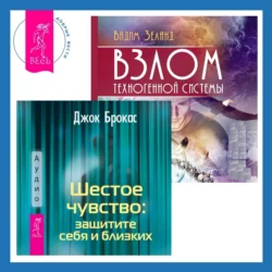 Шестое чувство: защитите себя и близких. Взлом техногенной системы, аудиокнига Вадима Зеланда. ISDN70416085