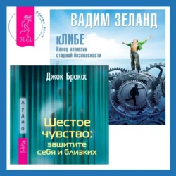 Шестое чувство: защитите себя и близких + кЛИБЕ. Конец иллюзии стадной безопасности, аудиокнига Вадима Зеланда. ISDN70416088