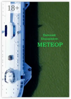 Болотный роман, аудиокнига Евгения Игоревича Большакова. ISDN68676865