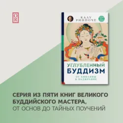 Многогранный буддизм. Том VI. Эмоции, смерть, перерождение, постижение, аудиокнига . ISDN57334221