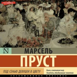 Под сенью девушек в цвету - Марсель Пруст