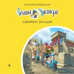 Агата Мистери. Лабиринт загадок - Стив Стивенсон