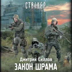 Закон Шрама - Дмитрий Силлов