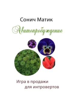 Авитопробуждение. Игра в продажи для интровертов Сонич Матик